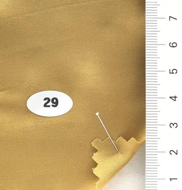 29 Camel