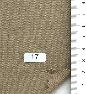 17 (C217) Beige
