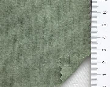 99999 Pale Green