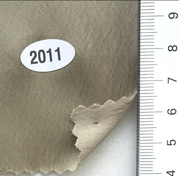 2011 Beige