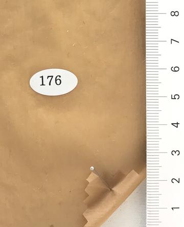 176 Camel