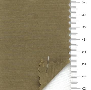 25 Camel
