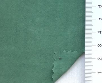 99999 Green