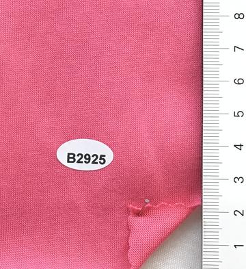 B2925 Pink