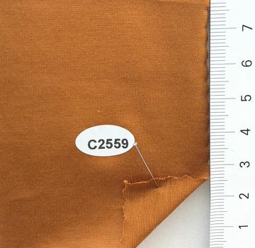 C2559 Camel