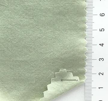 6 Pale Green