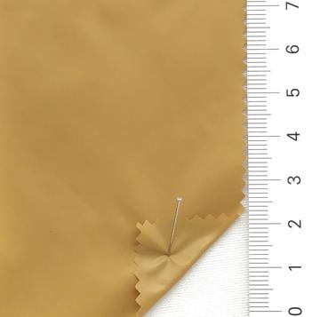 13 Camel