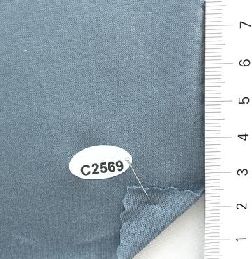 C2569 Pale Blue