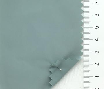 41 Pale Green