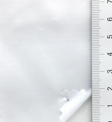19 White