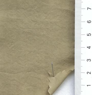 62 Beige