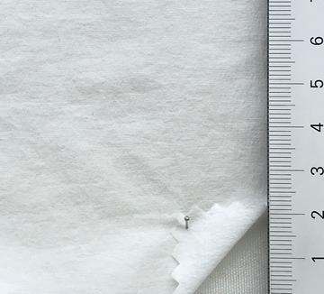 19 White