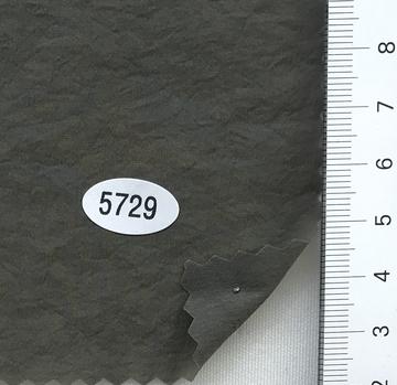 5729 Deep Green