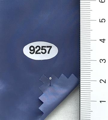 9257 Pale Blue