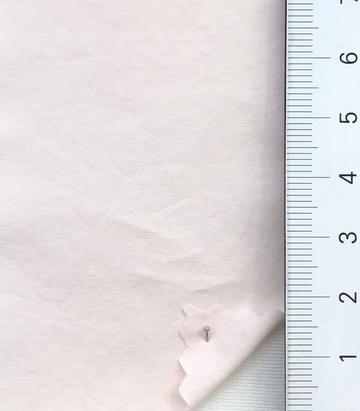 11 Pale Pink