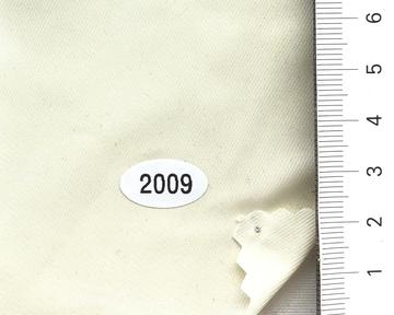 2009 Beige