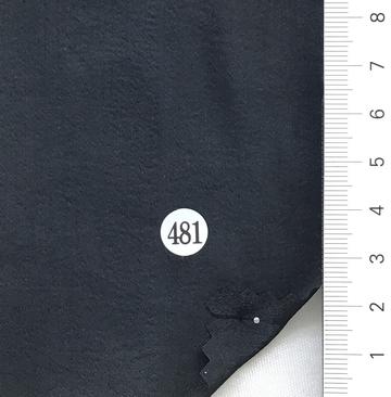 481 Black