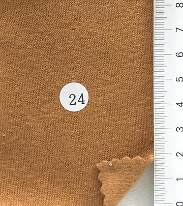 24 Camel