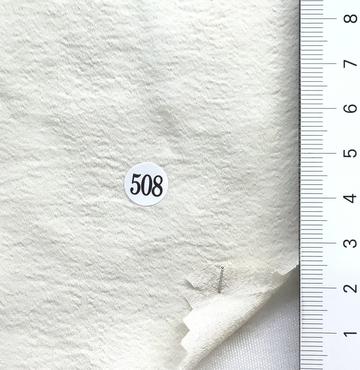 508 Ivory