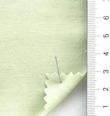 13 Pale Green