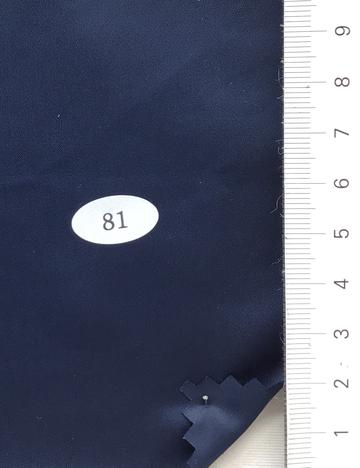 81 Navy