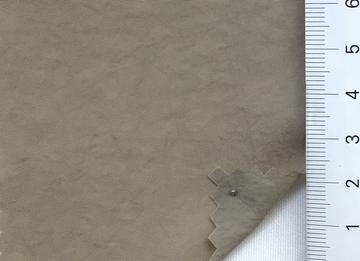 9 Beige