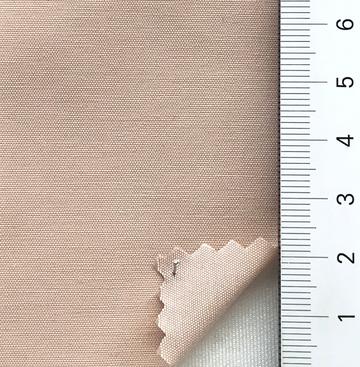 11 Pale Orange