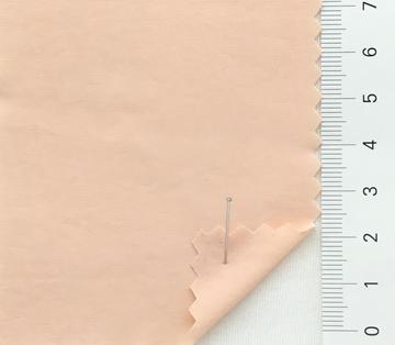 6 Pale Orange