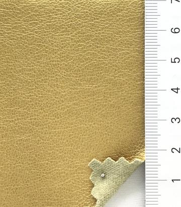 5 Camel