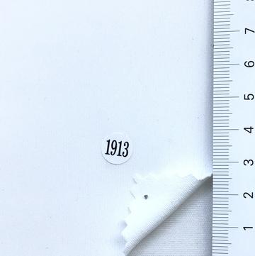 구1913 Ivory