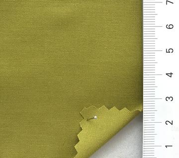 13 Pale Green