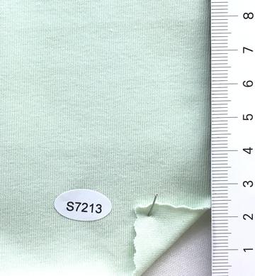 S7213 Pale Green