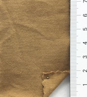 22 Camel