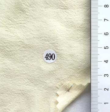 490 Ivory