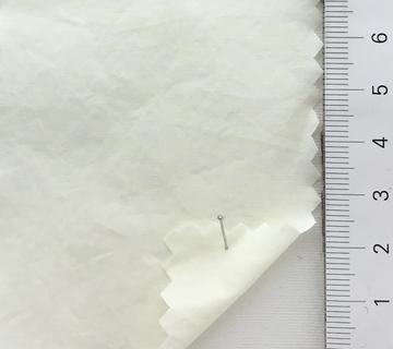 99999 Ivory