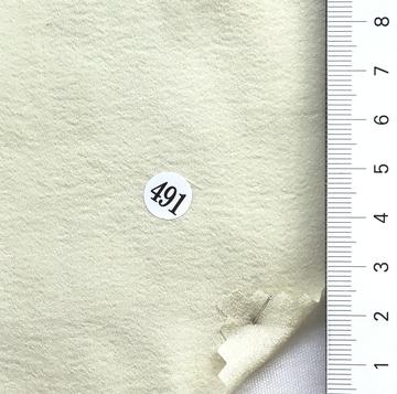 491 Beige