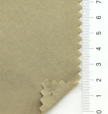 22 Camel