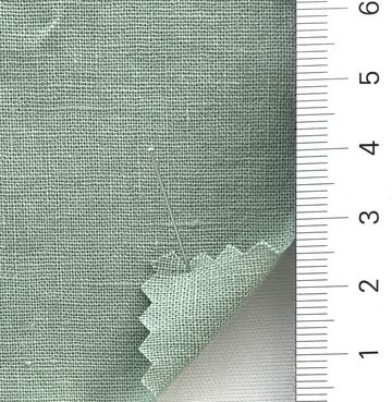 99999 Pale Green