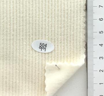504 Ivory