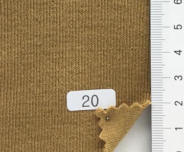 20 Camel