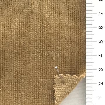 12 Camel