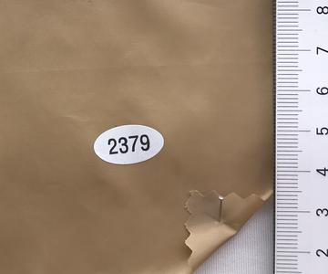2379 Camel