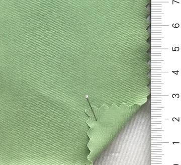 99999 Pale Green
