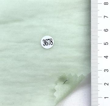 3678 Pale Green