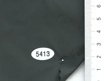 5413 Deep Green