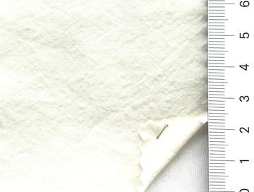 99999 Ivory
