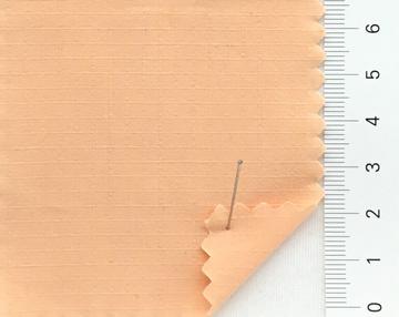 99999 Pale Orange