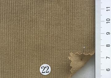 22 Camel