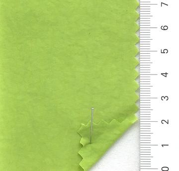 17 Pale Green