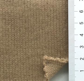 31 Camel